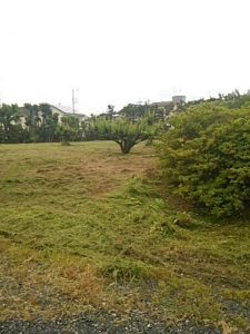 梅林　防草シート　人工芝　砂利敷き　除草対策