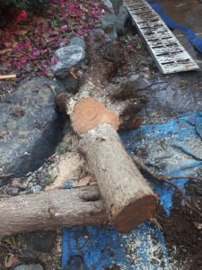 庭木リホーム　便利屋　伐採　ゼヒトモ　庭のリフォーム　外構　便利屋　ブロック　解体